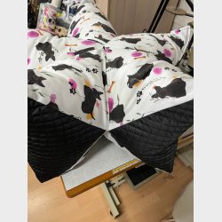 Model Peanut Stjernepude - Special Scottie design