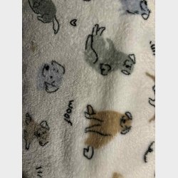 Model "Pacman" - Hundehule - Ensfarvet