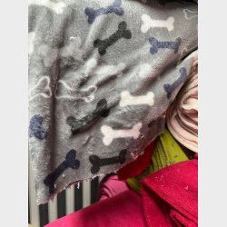 Stjernepude - Ensm�nstret