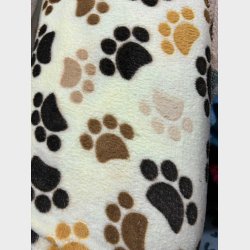 Model "Pacman" - Hundehule - Ensfarvet